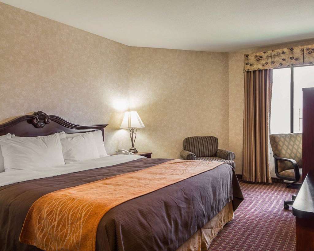 Comfort Inn Silicon Valley East Fremont Habitación foto