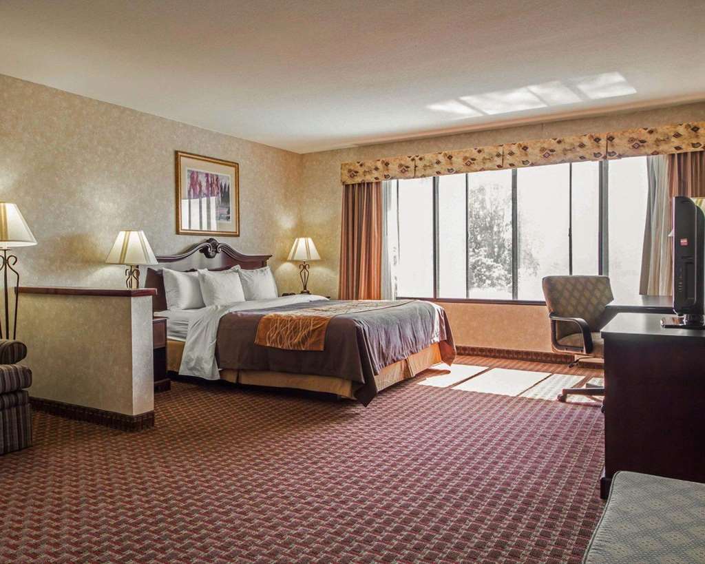 Comfort Inn Silicon Valley East Fremont Habitación foto